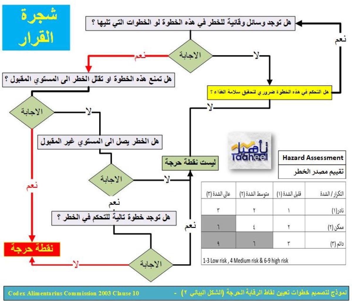 تحليل المخاطر وأهمية تنويع الاستثمارات لتحقيق الأهداف المالية