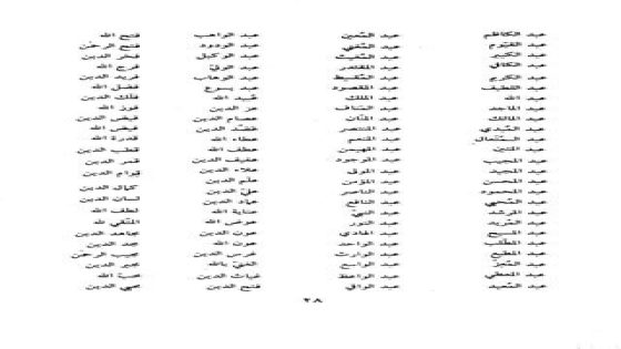 أسماء لا تصدق مستمدة من العربية تعبر عن الجمال والأناقة