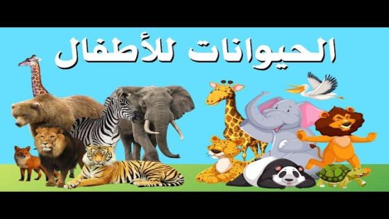 أجمل حيوانات الأطفال في العالم: اكتشفوا روائع الطبيعة