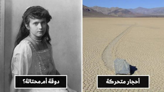 لماذا نحب الألغاز الغريبة؟ هل نحن مجانين أم أذكياء؟