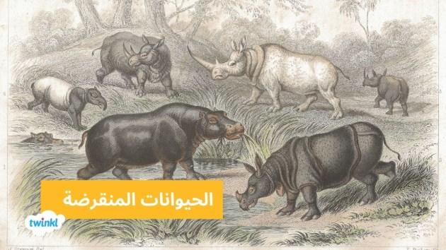 الأنواع الحيوانية المهددة بالانقراض: الحالة الراهنة والحقائق المهمة