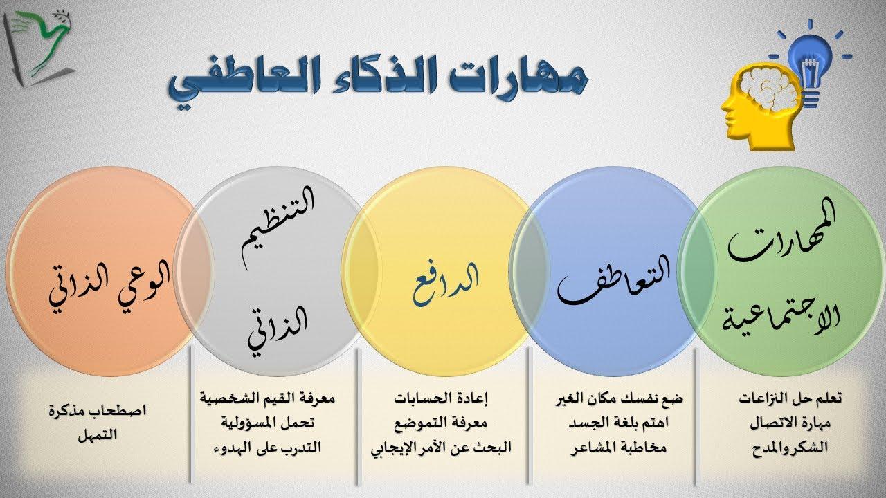 الذكاء العاطفي: لماذا قد يتفوق السمن على الذكاء في بعض الأحيان؟