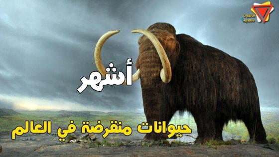 الحيوانات المنقرضة وأسباب انقراضها: دراسة شاملة