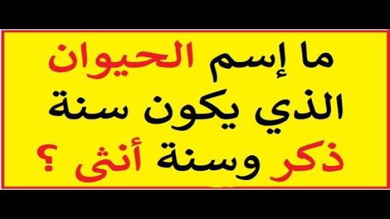 حل الألغاز وفتح أسرار عجائب العالم برحلة مرحة!