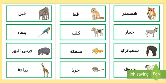 اكتشاف دلالات أسماء حيوانات تميز⁣ بها​ العرب عبر التاريخ