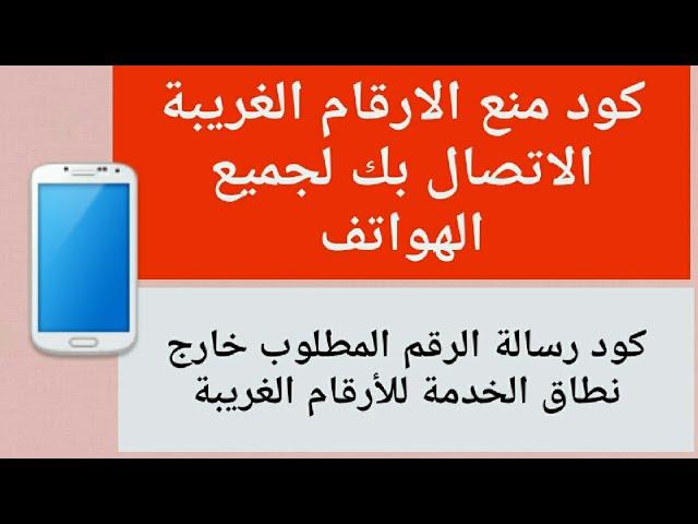 الأرقام الغريبة والمخططات الفوضوية: حين يصبح التاريخ ألغازًا!