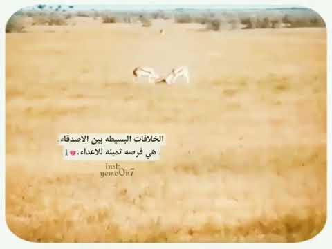 أهم النصائح لتجنب الخلافات أثناء المغامرة: لأن الأصدقاء لا يجب أن ينتهوا في غرفة الهروب