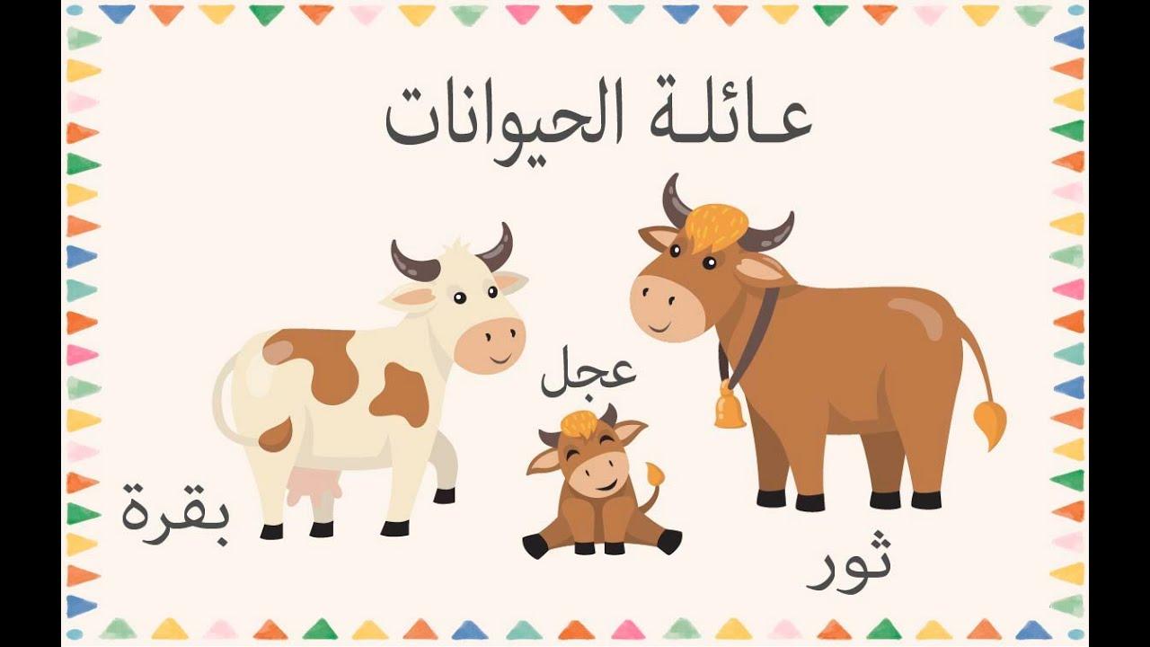 اختيار الحيوان الأليف ⁣المناسب⁣ لأسرتك